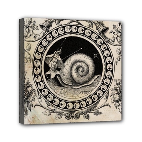 Snail 1618209 1280 Mini Canvas 6  X 6  (stretched) by vintage2030