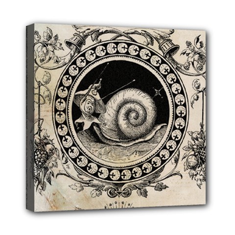 Snail 1618209 1280 Mini Canvas 8  X 8  (stretched) by vintage2030