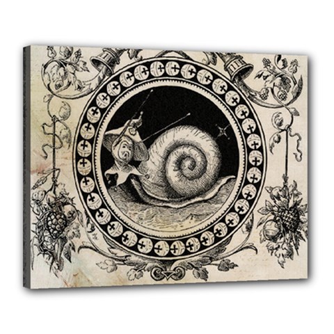 Snail 1618209 1280 Canvas 20  X 16  (stretched) by vintage2030