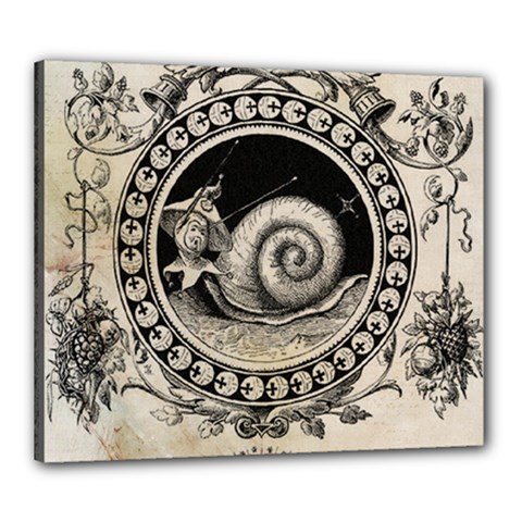 Snail 1618209 1280 Canvas 24  X 20  (stretched) by vintage2030