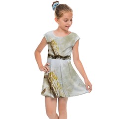 Background 1660942 1920 Kids Cap Sleeve Dress