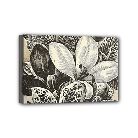 Flowers 1776382 1280 Mini Canvas 6  X 4  (stretched) by vintage2030