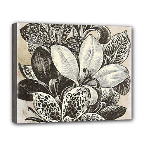 Flowers 1776382 1280 Deluxe Canvas 20  X 16  (stretched) by vintage2030