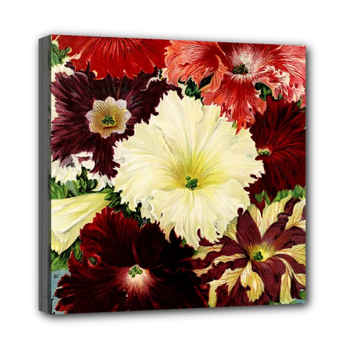 Flowers 1776585 1920 Mini Canvas 8  x 8  (Stretched)