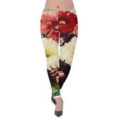 Flowers 1776585 1920 Velvet Leggings by vintage2030