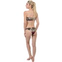 Vintage 1501598 1280 Classic Bandeau Bikini Set View2