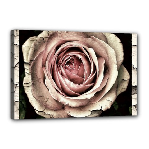 Vintage Rose Canvas 18  X 12  (stretched) by vintage2030