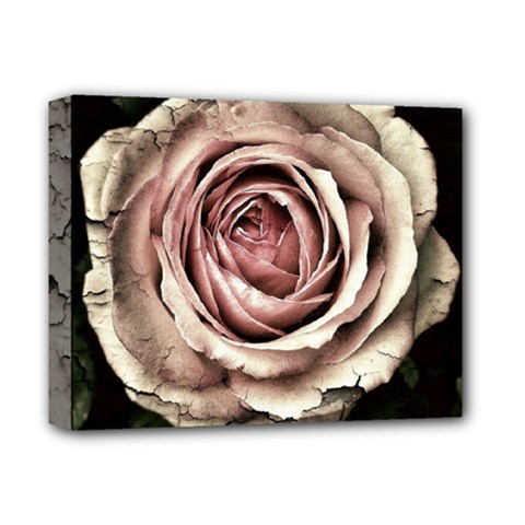 Vintage Rose Deluxe Canvas 14  X 11  (stretched) by vintage2030