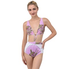 Tag 1763332 1280 Tied Up Two Piece Swimsuit