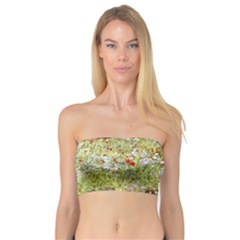 Scenery Bandeau Top by vintage2030