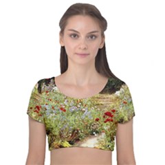 Scenery Velvet Short Sleeve Crop Top 