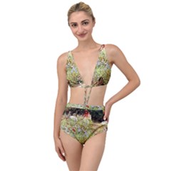 Scenery Tied Up Two Piece Swimsuit by vintage2030