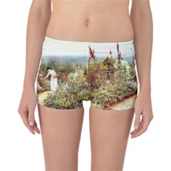 Lady And Scenery Reversible Boyleg Bikini Bottoms by vintage2030