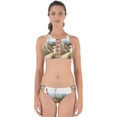 Lady And Scenery Perfectly Cut Out Bikini Set by vintage2030