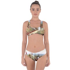 Lady And Scenery Criss Cross Bikini Set by vintage2030