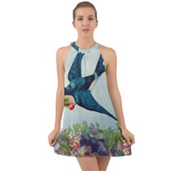 Blue Bird Halter Tie Back Chiffon Dress