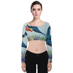 Blue Bird Velvet Crop Top