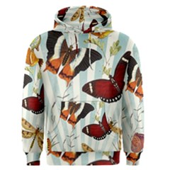 Butterfly 1064147 960 720 Men s Pullover Hoodie by vintage2030