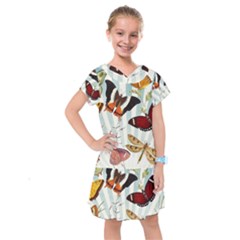 Butterfly 1064147 960 720 Kids  Drop Waist Dress by vintage2030