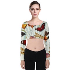 Butterfly 1064147 960 720 Velvet Crop Top