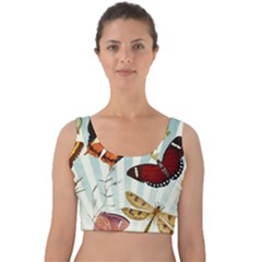 Butterfly 1064147 960 720 Velvet Crop Top