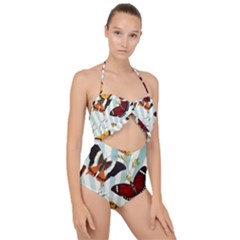 Butterfly 1064147 960 720 Scallop Top Cut Out Swimsuit by vintage2030