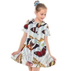 Butterfly 1064147 960 720 Kids  Short Sleeve Shirt Dress