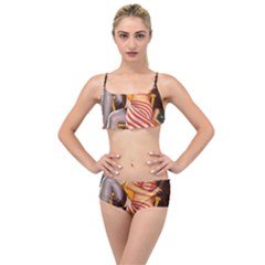 Retro 1410650 960 720 Layered Top Bikini Set