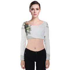 Background 1362160 1920 Velvet Crop Top