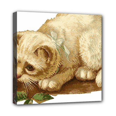 Cat 1827211 1920 Mini Canvas 8  X 8  (stretched) by vintage2030