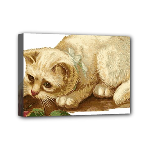 Cat 1827211 1920 Mini Canvas 7  X 5  (stretched) by vintage2030