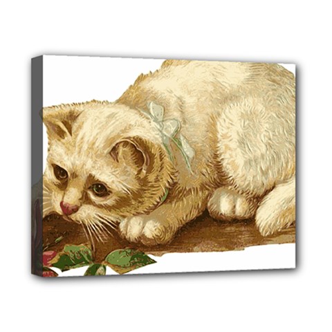 Cat 1827211 1920 Canvas 10  X 8  (stretched) by vintage2030