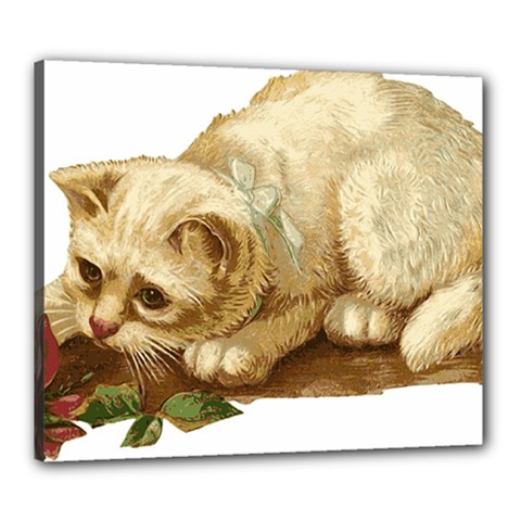 Cat 1827211 1920 Canvas 24  X 20  (stretched) by vintage2030