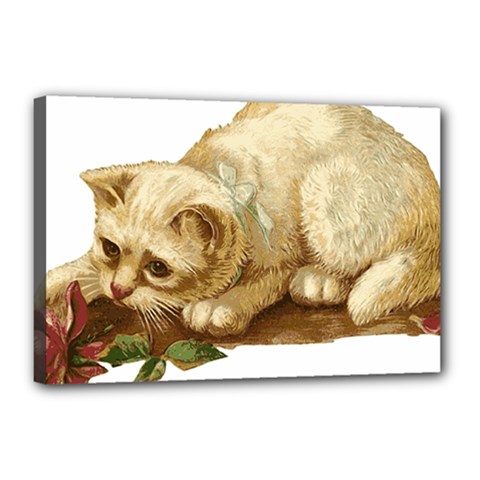 Cat 1827211 1920 Canvas 18  X 12  (stretched) by vintage2030