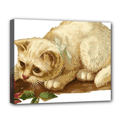 Cat 1827211 1920 Deluxe Canvas 20  X 16  (stretched) by vintage2030