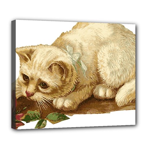 Cat 1827211 1920 Deluxe Canvas 24  X 20  (stretched) by vintage2030