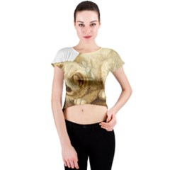 Cat 1827211 1920 Crew Neck Crop Top by vintage2030