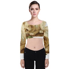 Cat 1827211 1920 Velvet Crop Top