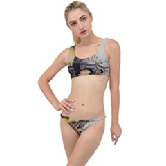 Owl 1462736 1920 The Little Details Bikini Set by vintage2030