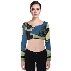 Black Cat 1462738 1920 Velvet Crop Top