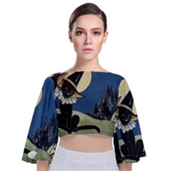 Black Cat 1462738 1920 Tie Back Butterfly Sleeve Chiffon Top