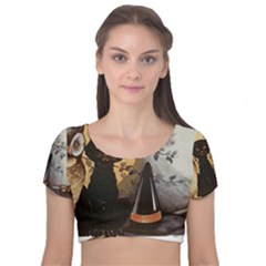 Owls 1461952 1920 Velvet Short Sleeve Crop Top 