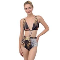 Owls 1461952 1920 Tied Up Two Piece Swimsuit