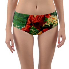 Lady 1334282 1920 Reversible Mid-waist Bikini Bottoms by vintage2030