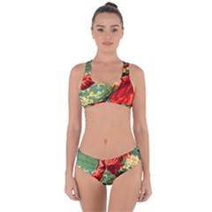 Lady 1334282 1920 Criss Cross Bikini Set by vintage2030