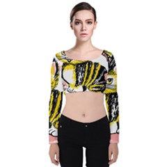 Cat 1348502 1920 Velvet Crop Top by vintage2030