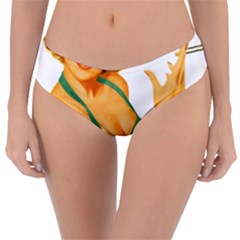 Woman 792872 1920 Reversible Classic Bikini Bottoms by vintage2030