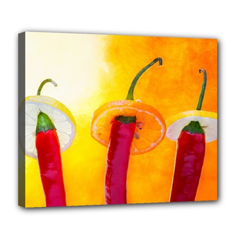 Three Red Chili Peppers Deluxe Canvas 24  X 20  (stretched) by FunnyCow