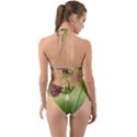 One More Bottle Does Not Hurt Halter Cut-Out One Piece Swimsuit View2