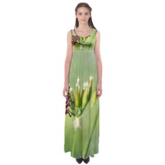 One More Bottle Does Not Hurt Empire Waist Maxi Dress by FunnyCow